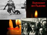 Холокост во Львове. Освенцим