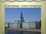 Кунсткамера. Санкт-Петербург