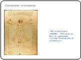 Симметрия в человеке. «Витрувианский человек» Леонардо да Винчи показывает пример билатеральной симметрии.