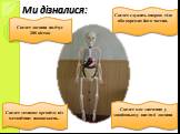 Скелет служить опорою тіла або окремих його частин. Скелет людини налічує 206 кісток. Скелет захищає організм від механічних пошкоджень. Скелет має значення у зовнішньому вигляді людини