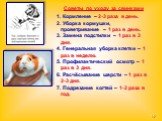 1. Кормление – 2-3 раза в день. 2. Уборка кормушки, проветривание – 1 раз в день. 3. Замена подстилки – 1 раз в 3 дня. 4. Генеральная уборка клетки – 1 раз в неделю. 5. Профилактический осмотр – 1 раз в 3 дня. 6. Расчёсывание шерсти – 1 раз в 2-3 дня. 7. Подрезание когтей – 1-2 раза в год. Советы по