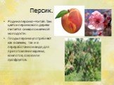 Персик. Родина персика – Китай. Там цветок персикового дерева считается символом вечной молодости. Плоды персика употребляют как в свежем, так и в переработанном виде, для приготовления варенья, компотов, соков или сухофруктов.