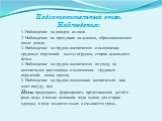 Подготовительный этап. Наблюдения: 1. Наблюдение за дождем из окна. 2. Наблюдения на прогулках за лужами, образовавшимися после дождя. 3. Наблюдение за трудом воспитателя и выполнение трудовых поручений: мытье игрушек, стирка кукольного белья. 4. Наблюдение за трудом воспитателя по уходу за комнатны