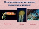 Использование реактивного движения в природе. Каракатица Медуза Осьминог