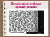 Полимерная мембрана - предшественник