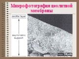Микрофотография цеолитной мембраны