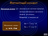 Магнитный момент (μ) – максимальное значение проекции вектора собственного магнитного момента pm частицы. Измеряется в единицах μ0. Магнитный момент μ0 =е ћ /2 m