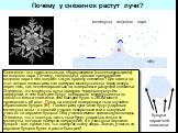 Почему у снежинок растут лучи? Снежинки - это кристаллы льда, образующиеся (конденсирующиеся) из водяного пара. Почему, казалось бы, простое превращение водяного пара в лёд создаёт такую красоту снежинок? Для ответа на этот вопрос посмотрим, как движутся молекулы воды через воздух перед тем, как кон
