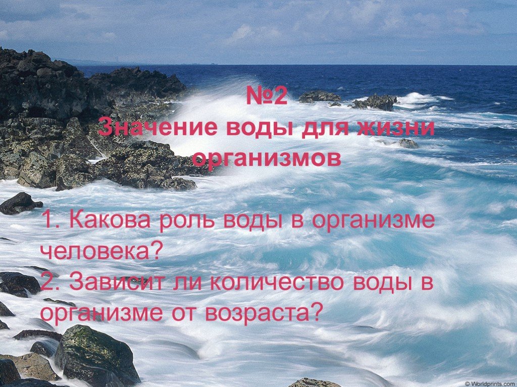 Какова роль течений. Какова роль воды на нашей планете. Вода это жизнь каков смысл. Смысл девиза вода это жизнь. Вода это жизнь каков смысл этого девиза кратко.