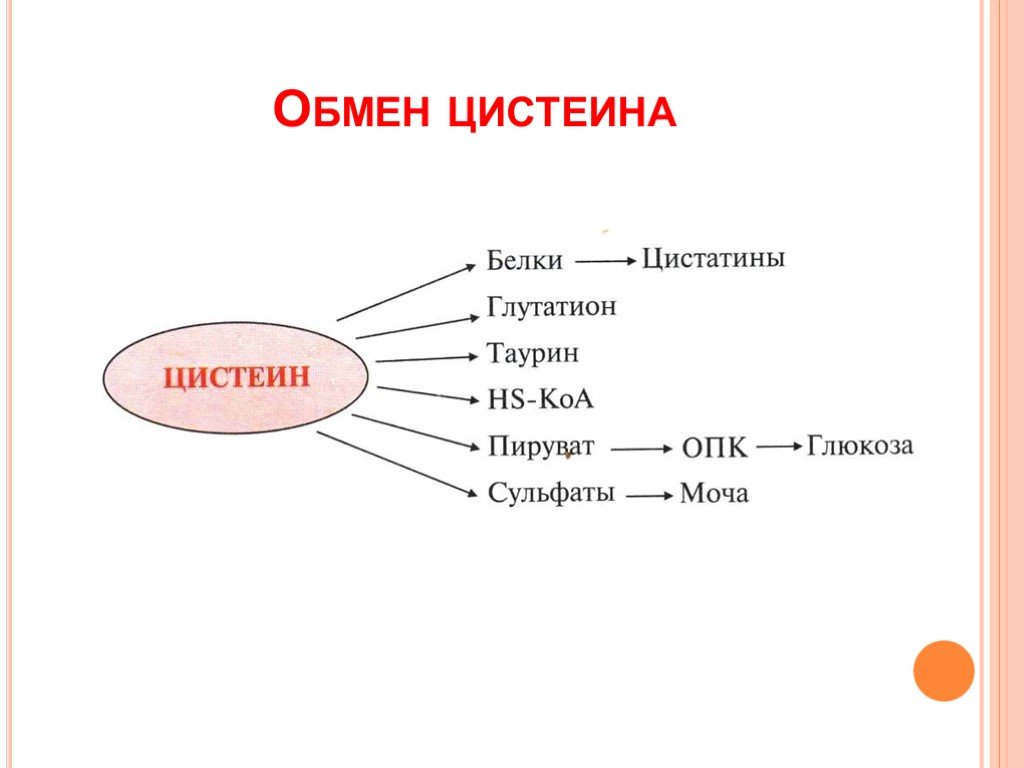 Метанин. Схема обмена цистеина. Особенности обмена цистеина биохимия. Обмен метионина и цистеина биохимия. Синтез и обмен цистеина.