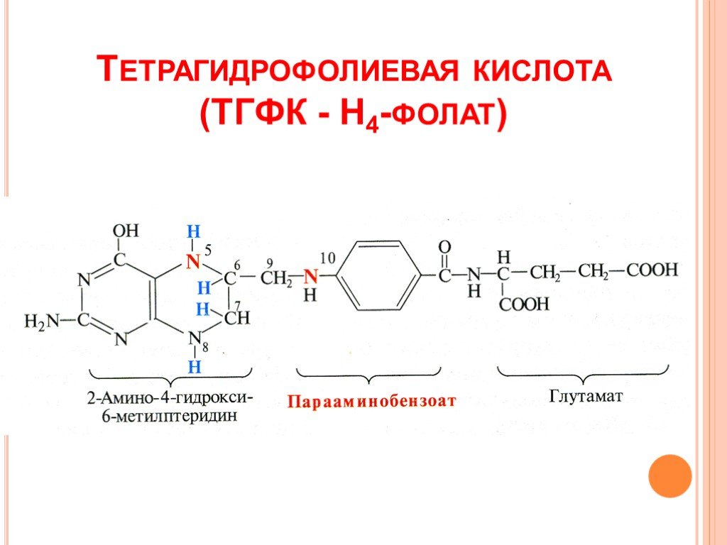 Синтез фолиевой кислоты. Тетрагидрофолиевая кислота формула. Активные производные ТГФК. Строение тетрагидрофолиевой кислоты. Тетрагидрофолиевая кислота (ТГФК, н4-ФК.