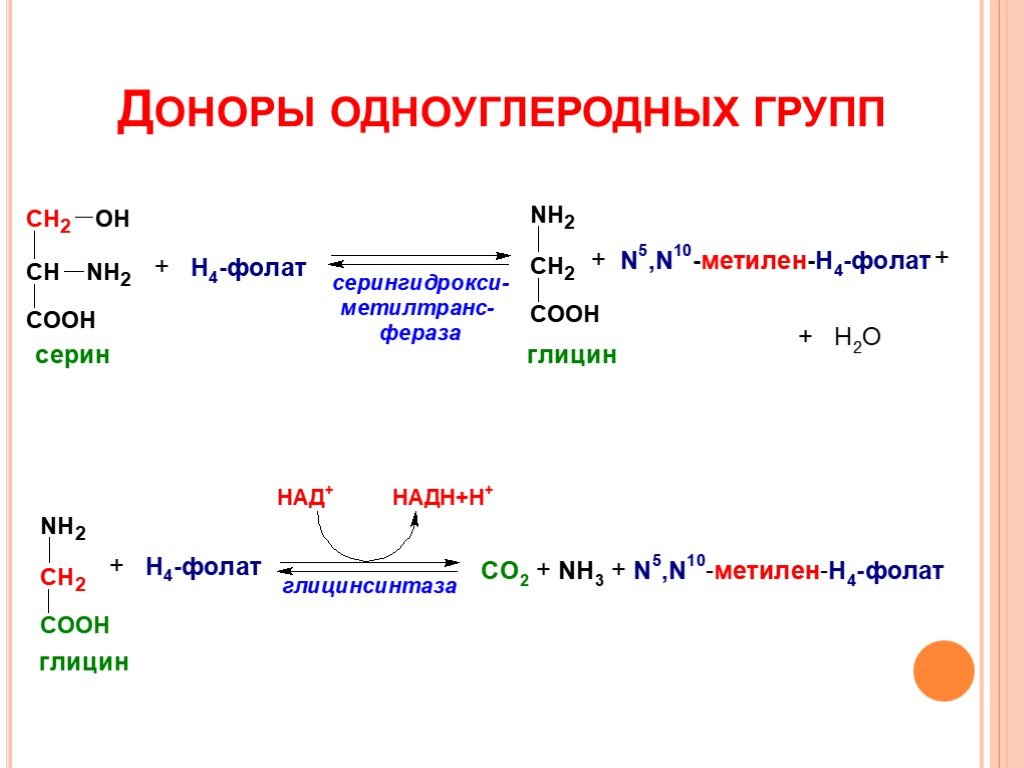 Перенос аминокислот. Обмен одноуглеродных групп схема. Метаболизм одноуглеродных групп. Обмен одноуглеродных групп биохимия. Образование одноуглеродных групп.