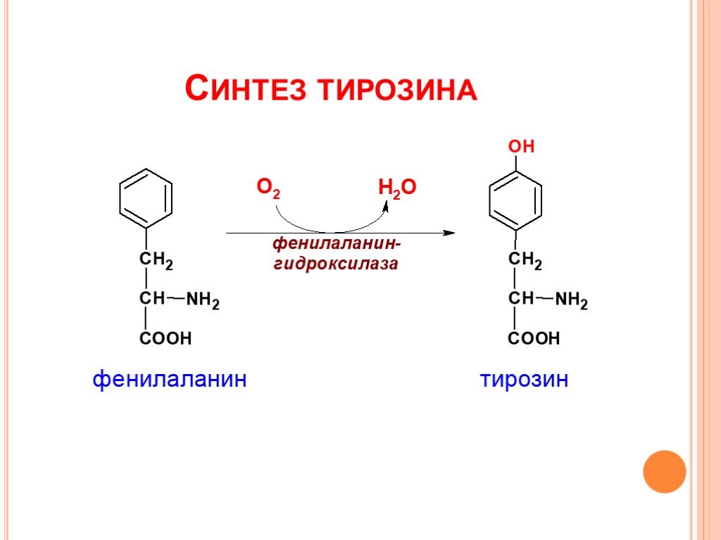 Адреналин образуется. Синтез тирозина из фенилаланина. Превращение фенилаланина в тирозин. Реакция синтеза тирозина. Синтез адреналина из фенилаланина реакция.