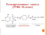 Тетрагидрофолиевая кислота (ТГФК - Н4-фолат)