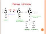 Распад тирозина