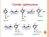 Синтез адреналина