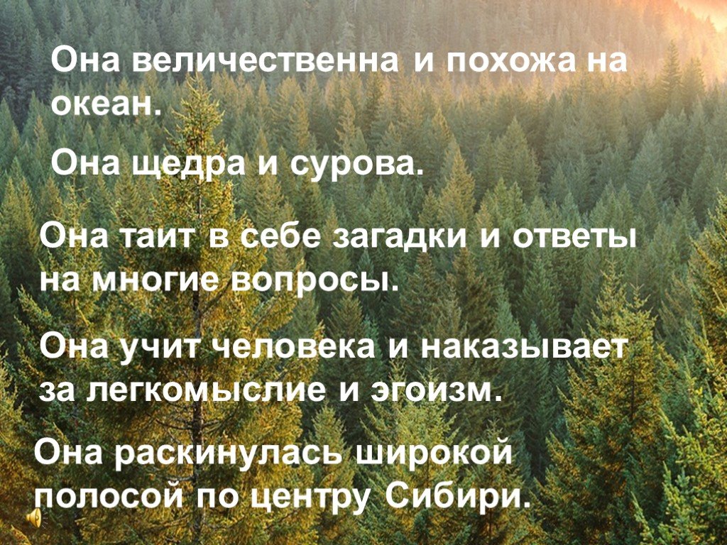 Люди тайги слова. Стихи о тайге. Стихи про тайгу. Цитаты про тайгу. Красивые высказывания про лес.