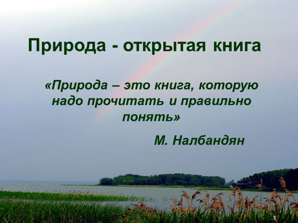 Природа почему и. Природа это книга которую надо прочитать и правильно понять. Книга природа. Книга почему? Природа. Почему природа это книга которую важно прочитать и понять.