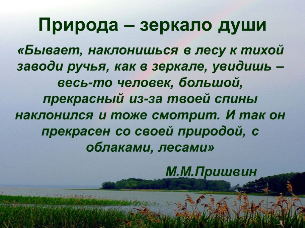 Человек в зеркале природы истории и индивидуальной жизни презентация