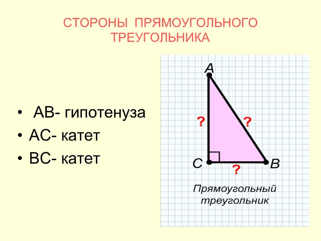 Презентация некоторые свойства прямоугольных треугольников. Стороны прямоугольного треугольника. Катет и гипотенуза прямоугольного треугольника. Катет треугольника. Катет катет гипотенуза.