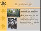 Леса моего края. Основной породой является дуб. Произрастают также другие широко- лиственные породы: клен, липа, ясень, береза, осина, тополь, ольха, вяз. Средний возраст лесных пород около 50 лет. Сохранились деревья-старожилы- сосны, примерно трехсотлетнего возраста, растущие по склону долины реки