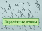 Перелётные птицы