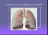 Курение и органы дыхания