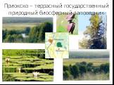 Приокско – террасный государственный природный биосферный заповедник