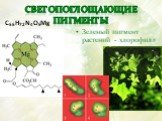 Зеленый пигмент растений - хлорофилл. C55H72N4O5Mg