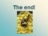 The end!