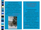 На предприятии широко применялся труд детей и подростков, которые получали 3-5 руб. в месяц. При этом за пользование хозяйскими харчами высчитывалось около 3 руб. А учились ли эти дети в школе? Дети, работавшие на фабрике школу не посещали. В дореформенное время из всех мытищинских жителей грамотных