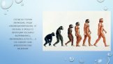 Согласно теории эволюции, люди «эволюционировали» от обезьян. В процессе эволюции обезьяны выпрямились, увеличились в росте… А что говорят нам археологические раскопки?