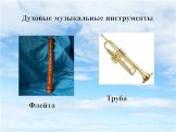 Духовые музыкальные инструменты. Флейта Труба