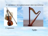 Струнные музыкальные инструменты. Скрипка Арфа