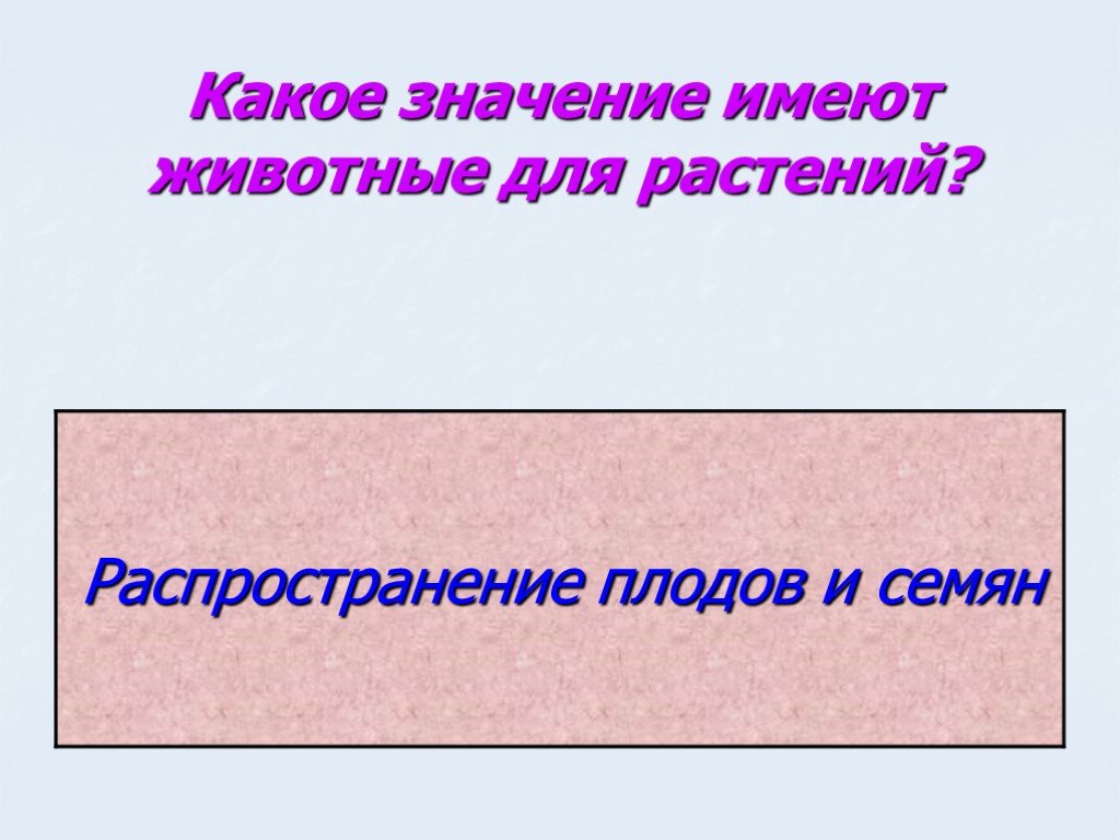 Какое значение имеют животные. Какое значение животные имеют для растений. Какое значение имеет.