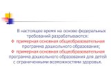 В настоящее время на основе федеральных требований разрабатываются: примерная основная общеобразовательная программа дошкольного образования; примерная основная общеобразовательная программа дошкольного образования для детей с ограниченными возможностями здоровья.