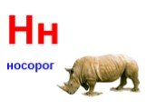 Нн носорог