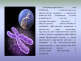 Неотрепарированные или ошибочно репарированные повреждения приводят к снижению клоногенной активности клетки (способности клетки к неограниченному делению с образованием жизнеспособных потомков), аберрациям хромосом и различного рода мутациям. Поражение ДНК соматических клеток лежит в основе радиаци