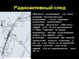 Радиоактивный след. Образовался радиоактивный след, позже названный Восточно-Уральским радиоактивным следом. Территория, подвергшаяся радиоактивному загрязнению, представляла собой полосу шириной до 20 – 40 км и протяженностью до 300км. Территория, на которой потребовалось введение мер радиационной 