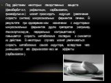 Под действием некоторых лекарственных веществ (фенобарбитал, рифампицин, карбамазепин, гризеофульвин) может происходить индукция (увеличение скорости синтеза) микросомальных ферментов печени. В результате при одновременном назначении с индукторами микросомальных ферментов других препаратов (например