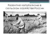 Развитие капитализма в сельском хозяйстве России