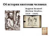 Об истории анатомии человека. Андреас Везалий (Andreas Vesalius, 1514 – 1564)