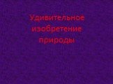 Удивительное изобретение природы