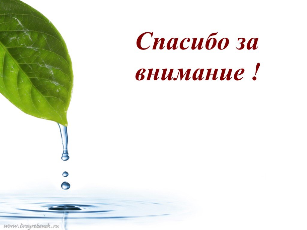 Спасибо за внимание берегите природу картинки для презентации