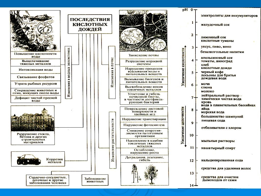 Влияние кислотных дождей. Кислотные дожди последствия для животных. Последствия кислотных дождей в технике. Кислотный дождь очистные сооружения. Очистные сооружения от кислотных дождей.
