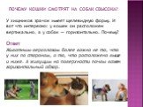 ПОЧЕМУ КОШКИ СМОТРЯТ НА СОБАК СВЫСОКА? У хищников зрачок имеет щелевидную форму. И вот что интересно: у кошек он расположен вертикально, а у собак — горизонтально. Почему? Ответ Животным-верхолазам более важно не то, что у них по сторонам, а то, что расположено выше и ниже. А живущим на поверхности 