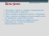 Цель урока: 1. Расширить знания о строении эукариотической клетки растений и животных 2. Уметь называть органоиды клетки и их функции. 3. Уметь выявлять особенности растительной клетки по сравнению с животной клеткой. 4. Уметь делать выводы о морфологических особенностях, о единстве строения и проис