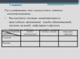 I вариант. Рассматривание под микроскопом готовых микропрепаратов. Рассмотрите готовые микропрепараты простейших организмов: амебы обыкновенной, эвглены зеленой, инфузории-туфельки. Составьте таблицу и сделайте вывод: