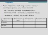 Рассматривание под микроскопом готовых микропрепаратов животных тканей: Рассмотрите готовые микропрепараты эпителиальной, костной и мышечной ткани. Заполните таблицу и сделайте вывод: