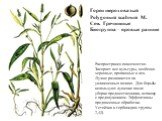 Горец шероховатый Polygonum scabrum M. Сем. Гречишные Биогруппа – яровые ранние. Распространен повсеместно. Засоряет все культуры, особенно зерновые, пропашные и лен. Лучше развивается на увлажненных почвах. Для борьбы используют лущение после уборки предшественника, вспашку с предплужником. Эффекти